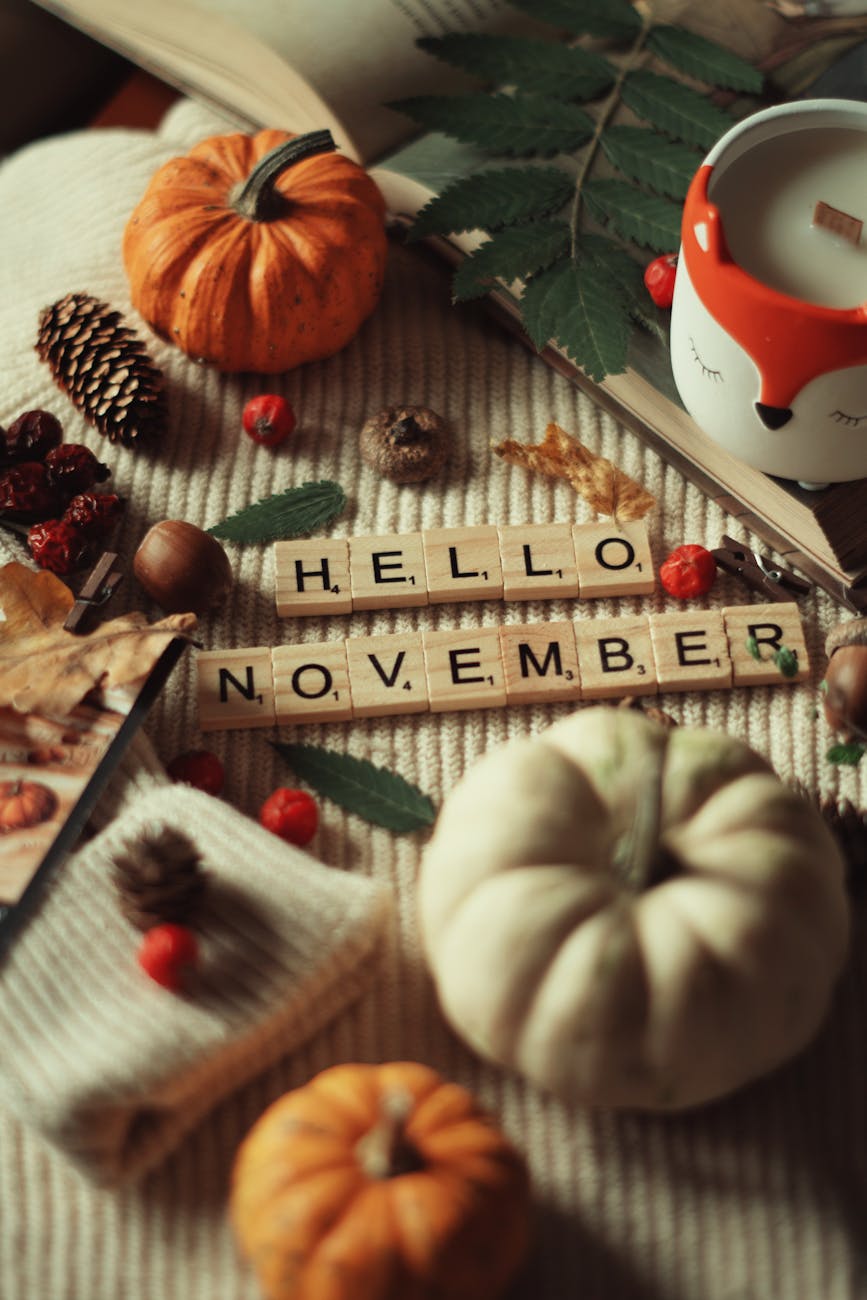 New Beginnings in&nbsp;November