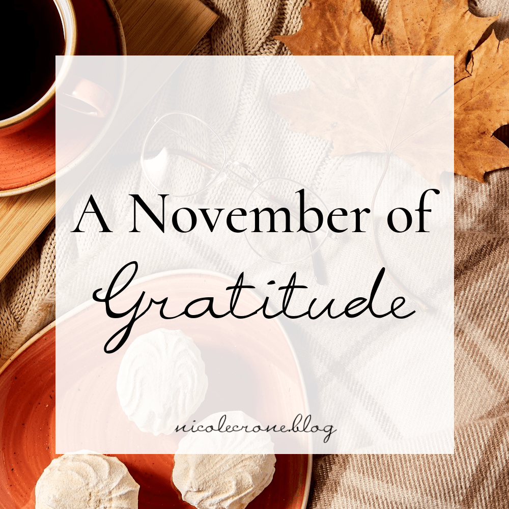 A November of Gratitude | When Times are Tight