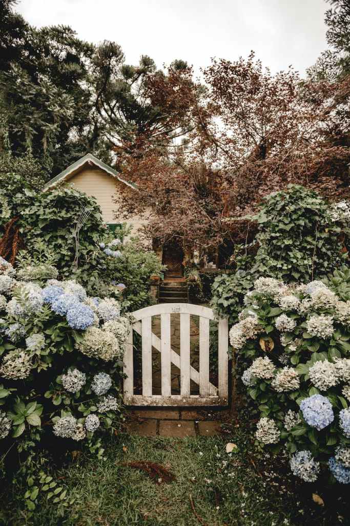 rural garden wicket gate surrounded by blooming flowers