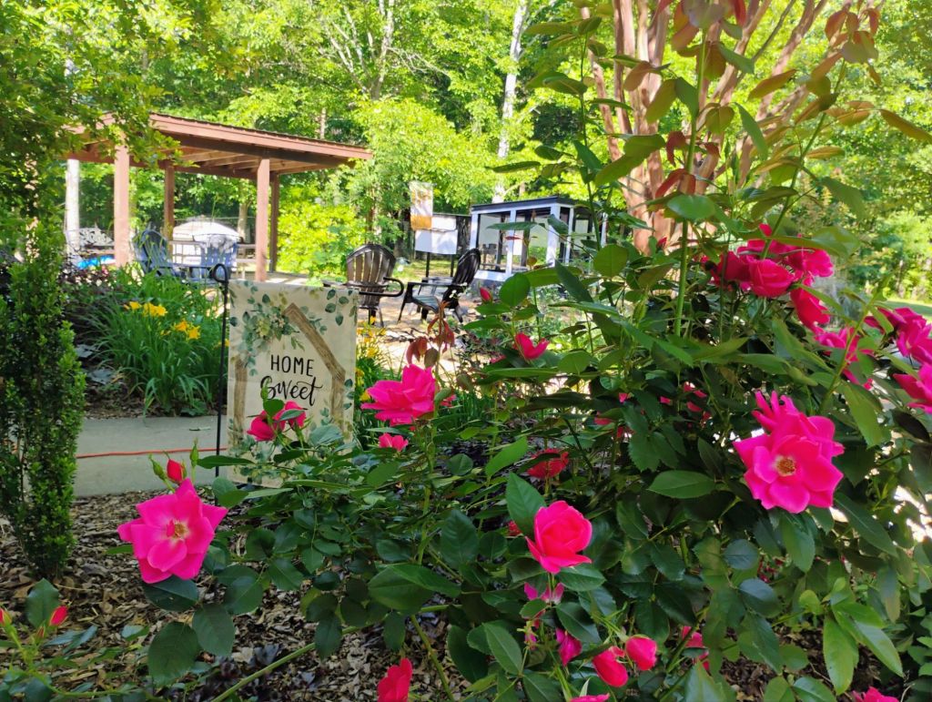 No. 19 Notes From Home | Early May&nbsp;Blessings